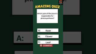 which part responsible for photosynthesis Intelligence Test game shorts foryouquizze english [upl. by Roos]