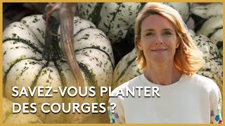 Le potager forêt du centre  Les Potagers de Julie [upl. by Lyrrehs]