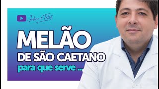 veja como está o melão de são Caetano que plantei [upl. by Eirameinna]