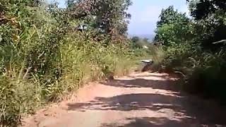 Kwatha village manipur [upl. by Sone]