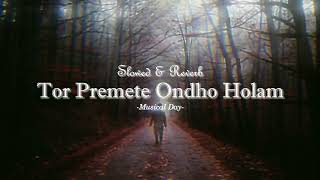 Tor Premete Ondho Holam Slowed amp Reverb  James [upl. by Nikolia]