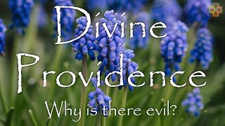 Swedenborgs quotDivine Providencequot  Why There is Evil  Swedenborgianism 201 [upl. by Quennie111]