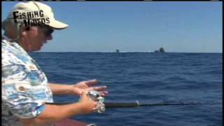 Long Range Fishing aboard the Independence at Alijos Rocks [upl. by Davina]