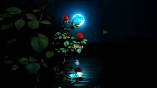 flowerslovebeautifulyoutubeshorts shortsmusic bgm sad ringtone love [upl. by Edivad680]