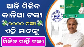 Kalia Yojana Money Transfer Date 2024  Kalia Yojana New Update  Kalia Yojana New List kaliayojana [upl. by Roehm751]