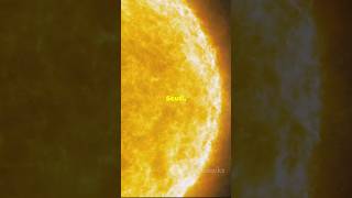 The largest star compared to our sun [upl. by Tiny]