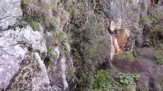 Los Caños de Grazalema tras la lluvia [upl. by Ancalin540]