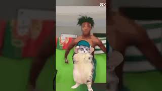 What is I show speed doing to the cat [upl. by Murton]