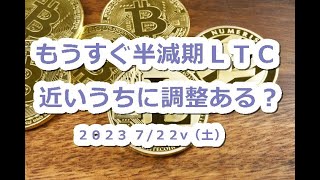 半減期直前！ライトコイン（LTC）の近未来を予測 [upl. by Attiuqahs]