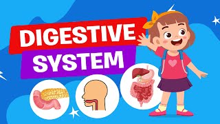 How the Digestive System Works  Science Lesson  Educational Video  Learn Videos  Crash Course [upl. by Nohtiek548]