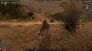 Riding Wolf Goblin Mount Warhammer Online Beta [upl. by Cuda176]