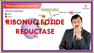 Ribonucleotide Reductase  Reaction Regulation Inhibitors [upl. by Homovec]