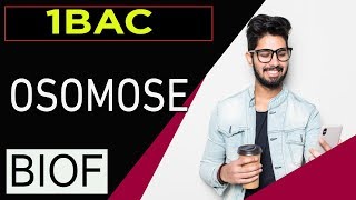 svt 1bac français international maroc plasmolyse et turgescence et osmose [upl. by Migeon]