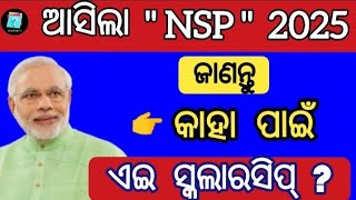 nsp scholarship 2024 25  nsp scholarship eligibility  nsp 2024  government of india scholarship [upl. by Maggi]