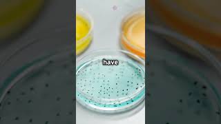 Understanding GramPositive and GramNegative Bacteria cellbiology scienceshorts biology [upl. by Audry78]