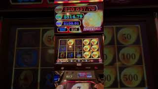 hotlink bonus bigwin foryou slot casinogame casino jackpot gambler slotmachine dog [upl. by Adnoel534]