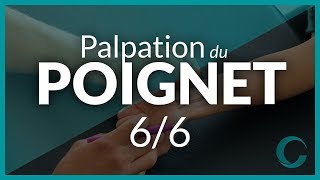 PALPATION DU POIGNET  Partie 6  Éléments musculaires postérieurs [upl. by English]