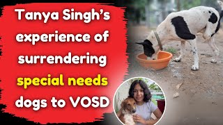 Tanya Singh’s experience of surrendering special needs dogs to VOSD [upl. by Esertak356]