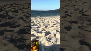 Fish supper at Shoal Bay Beach shorts portstephens shoalbay beach southerly [upl. by Leoine]