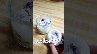 Making Lilac Enfleurage Cream Perfume lilac perfume perfudiy tutorial scent [upl. by Nomsed]