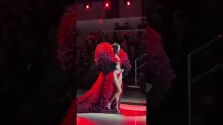 Hadid Sisters Slaying Together at VICTORIAS SECRET Fashion show music audio spedup song [upl. by Adnalue]