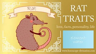 Chinese Zodiac Rat Personality ━ Rat Traits amp Feng Shui 鼠 [upl. by Aennil]