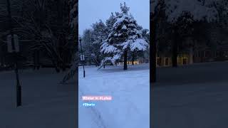 Winter in Luleå  Sweden vlog [upl. by Cila605]