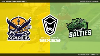 Sydney Seahawks v Brisbane Salties  2024 Major League Sixes  Mens [upl. by Bruce]