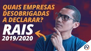 Quais empresas estão desobrigadas a declarar a RAIS 2020 Prof Luciano Pimentel [upl. by Stickney]