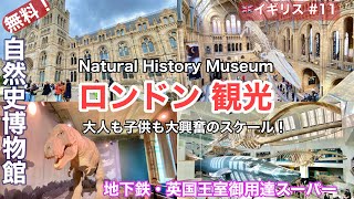 🇬🇧早春のロンドン旅 vol11 自然史博物館 Natural History Museumお惣菜屋さんパートリッジPartridgesビクトリア駅スーパーイギリス・おすすめ観光・グルメ [upl. by Cleodell]