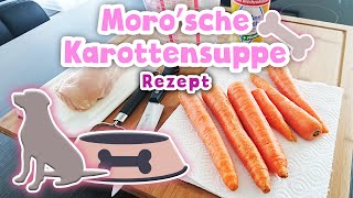 Morosche Karottensuppe  Natürliches Mittel bei Durchfall  Rezept [upl. by Ahsekan]