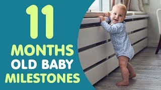 11 Months Old Baby Milestones [upl. by Slack]