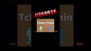 TchinTchin tchintchin バラの名前 薔薇 [upl. by Kieran]