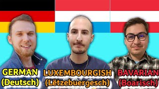 Similarities Between German and Luxembourgish [upl. by Rannug]