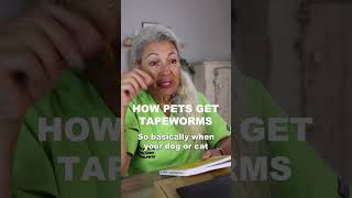 How Dog amp Cats Get Tapeworms [upl. by Bresee]