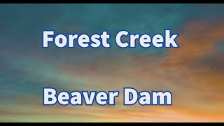 Beaver Dam at Forest Creek [upl. by Ennovyahs560]