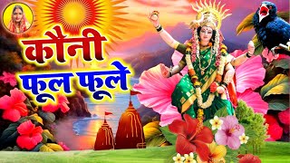 video देवी पचरा गीत  कौनी फूल फूले  Neha Music Records  paramparik devi geet 2024 devi geet [upl. by Ahsemaj]