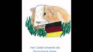 Herr Zottel Meerschweinchen EMOrakel freut sich auf die FußballEuropameisterschaft EM 2012 [upl. by Thorma201]