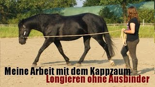 Meine Arbeit mit dem Kappzaum  Longieren ohne Ausbinder [upl. by Giacamo]