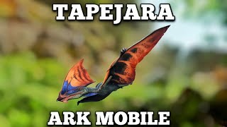 TAPEJARA  ARK MOBILE [upl. by Friedrich]