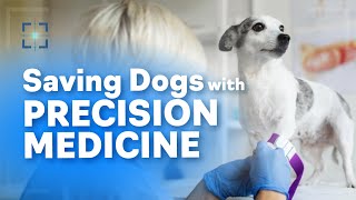 Precision Medicine Why We Chose Dogs First [upl. by Neersin79]