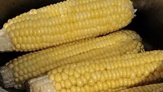 Kenneth Soriano is live11724 Nilaga Mais yummy nilaga ASMR SATISFYING FOR MY WH [upl. by Usanis916]