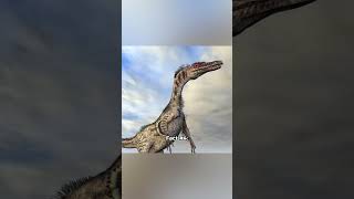 Facts you didn’t know about the Velociraptor 🦖 [upl. by Cortney]