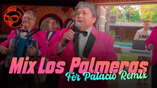 No Ferpa no party Super remix Los Palmeras by Fer Palacio [upl. by Arratahs]