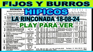 ☑ PRONOSTICOS FIJOS Y BURROS HIPICOS 180824 ✔️ LA RINCONADA [upl. by Erlinna617]