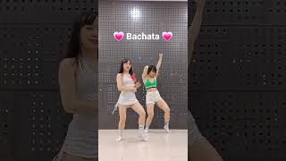 Monotonia Shakira Bachata Dance SHORT Kimi amp Ruby bachata ladystyling [upl. by Notyrb]