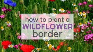 How to plant a Wildflower Border [upl. by Burley880]