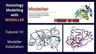 Homology Modeling for Beginners  COVID19 NP Protein Modeling Modeller Tutorial  Bioinformatics [upl. by Sochor81]