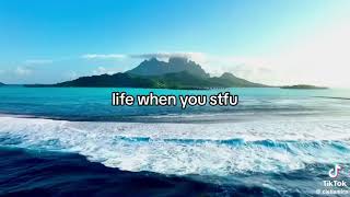 Life when you Stfu paradise [upl. by Nodnarg653]