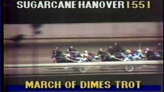 Sugarcane Hanover  1988 March of Dimes Trot [upl. by Nuhsar]